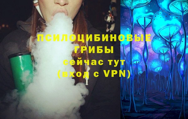 spice Алзамай