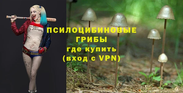 spice Алзамай