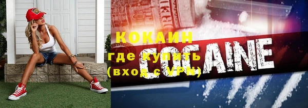 ешки Алексеевка
