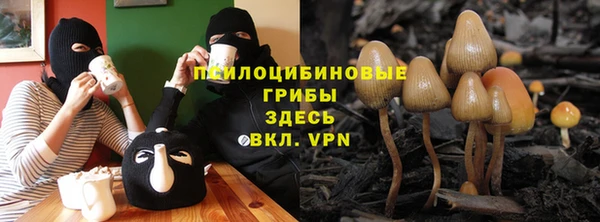 spice Алзамай